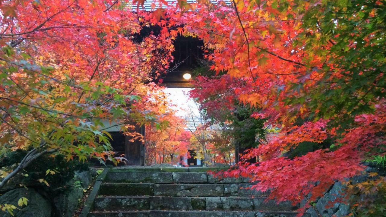 Blueberry Pension Madarao Iiyama Экстерьер фото