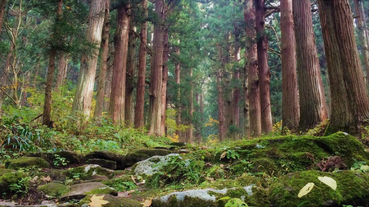 Blueberry Pension Madarao Iiyama Экстерьер фото