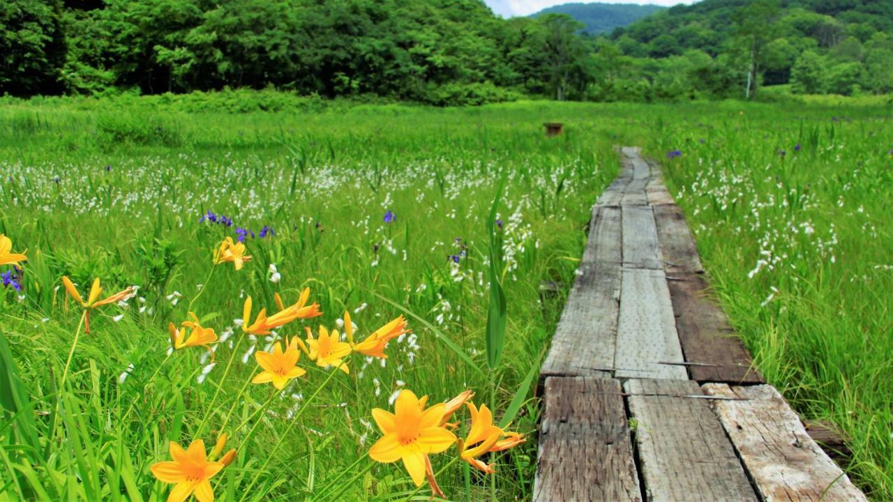 Blueberry Pension Madarao Iiyama Экстерьер фото